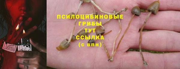 прущая мука Абдулино