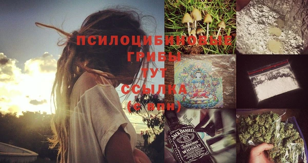 ешки Абаза