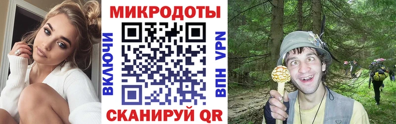 даркнет сайт  Нефтегорск  Галлюциногенные грибы Psilocybine cubensis 